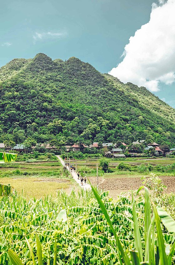 Wanderung im vietnamesischen Dschungel
