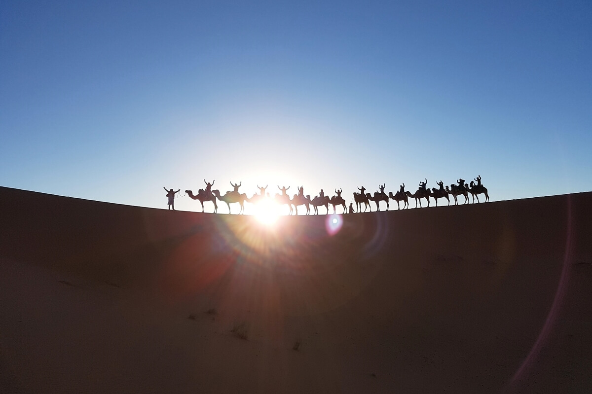 Backpacker auf Kamelen