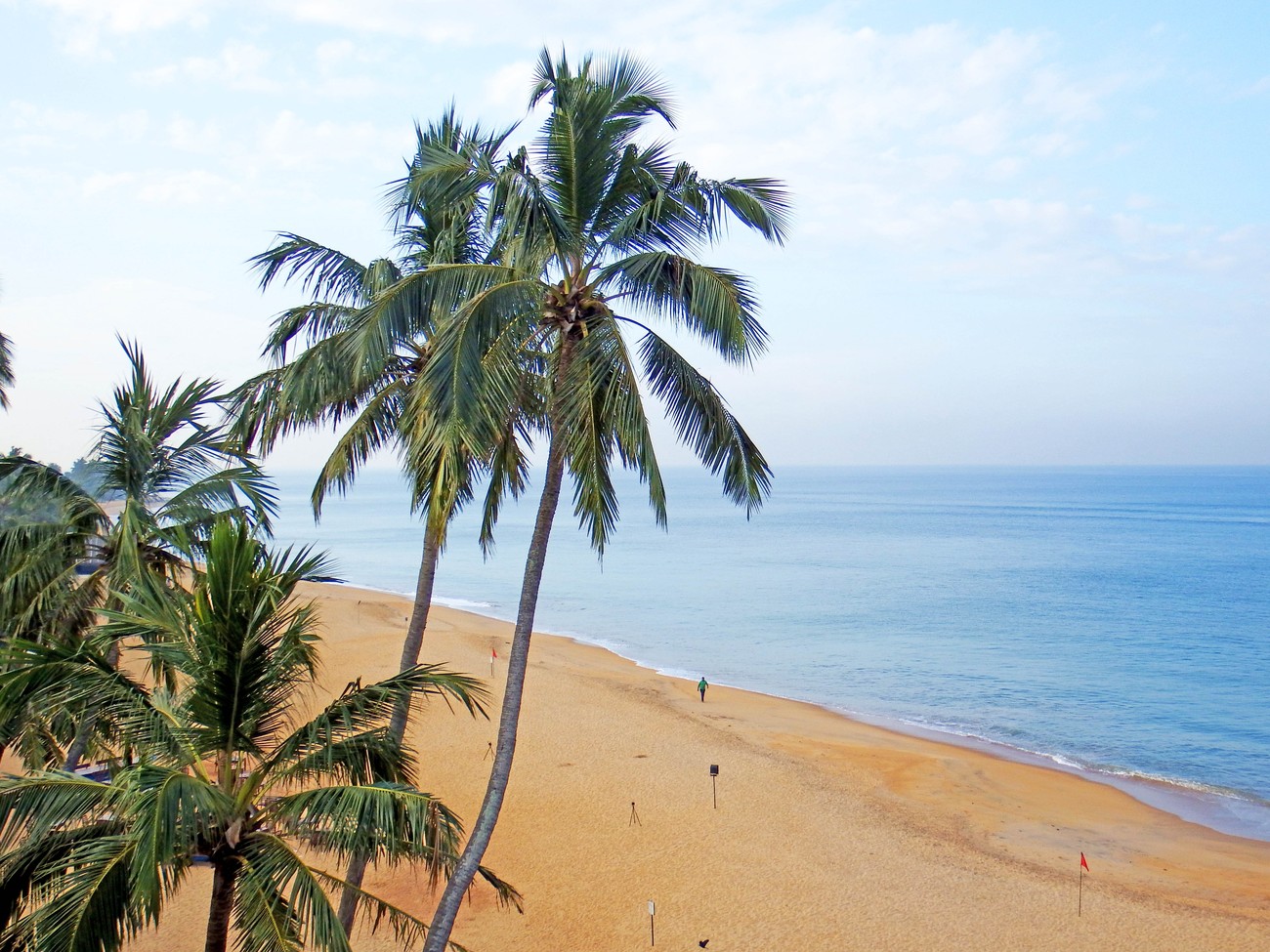 Strand und Palmen beim Backpacking auf Sri Lanka