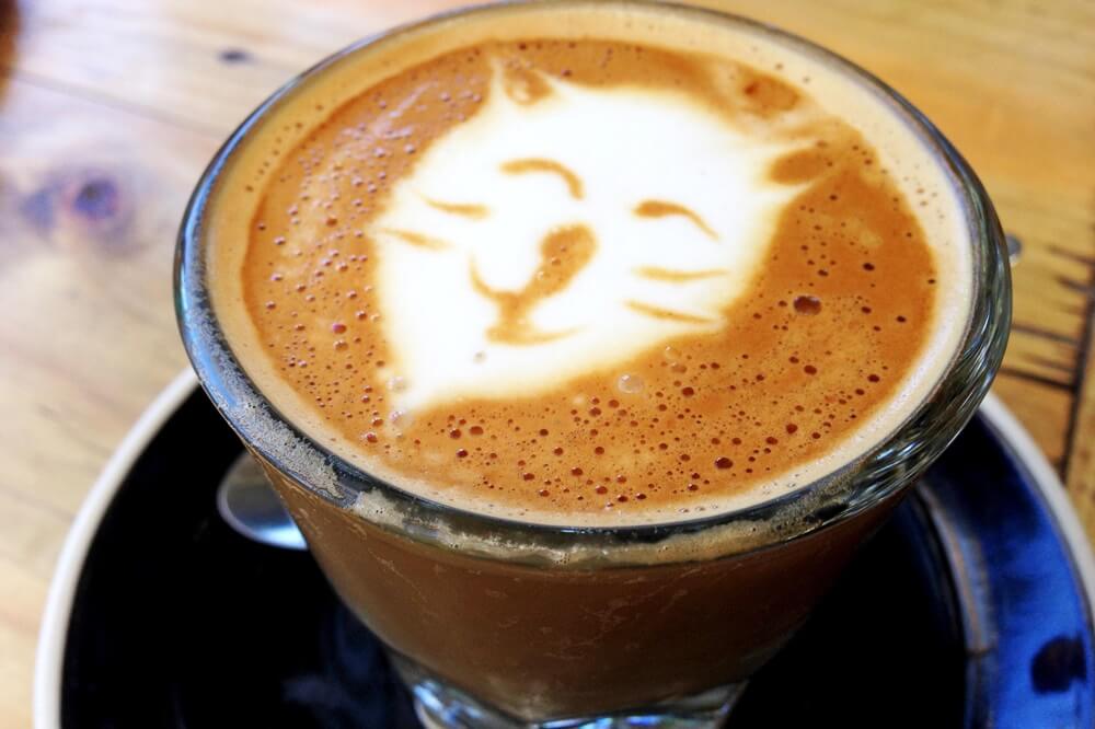 Kaffee mit Katzengesicht
