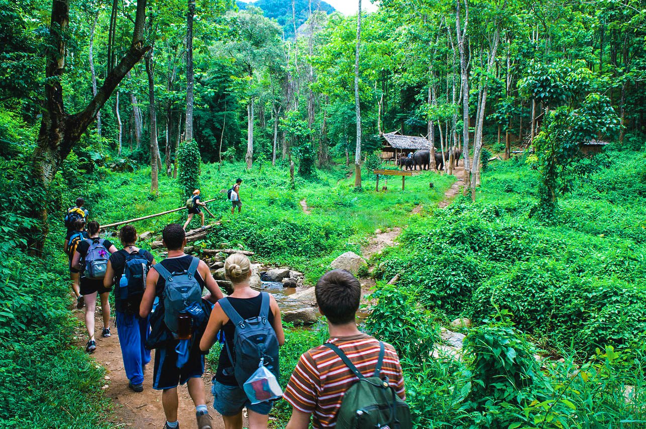 Trekking in Chiang Mai