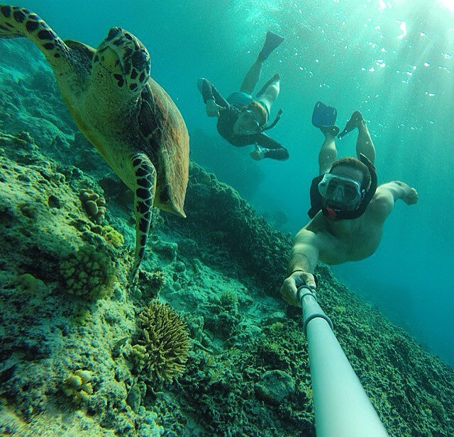 Schnorchel Selfie mit Schildkröte